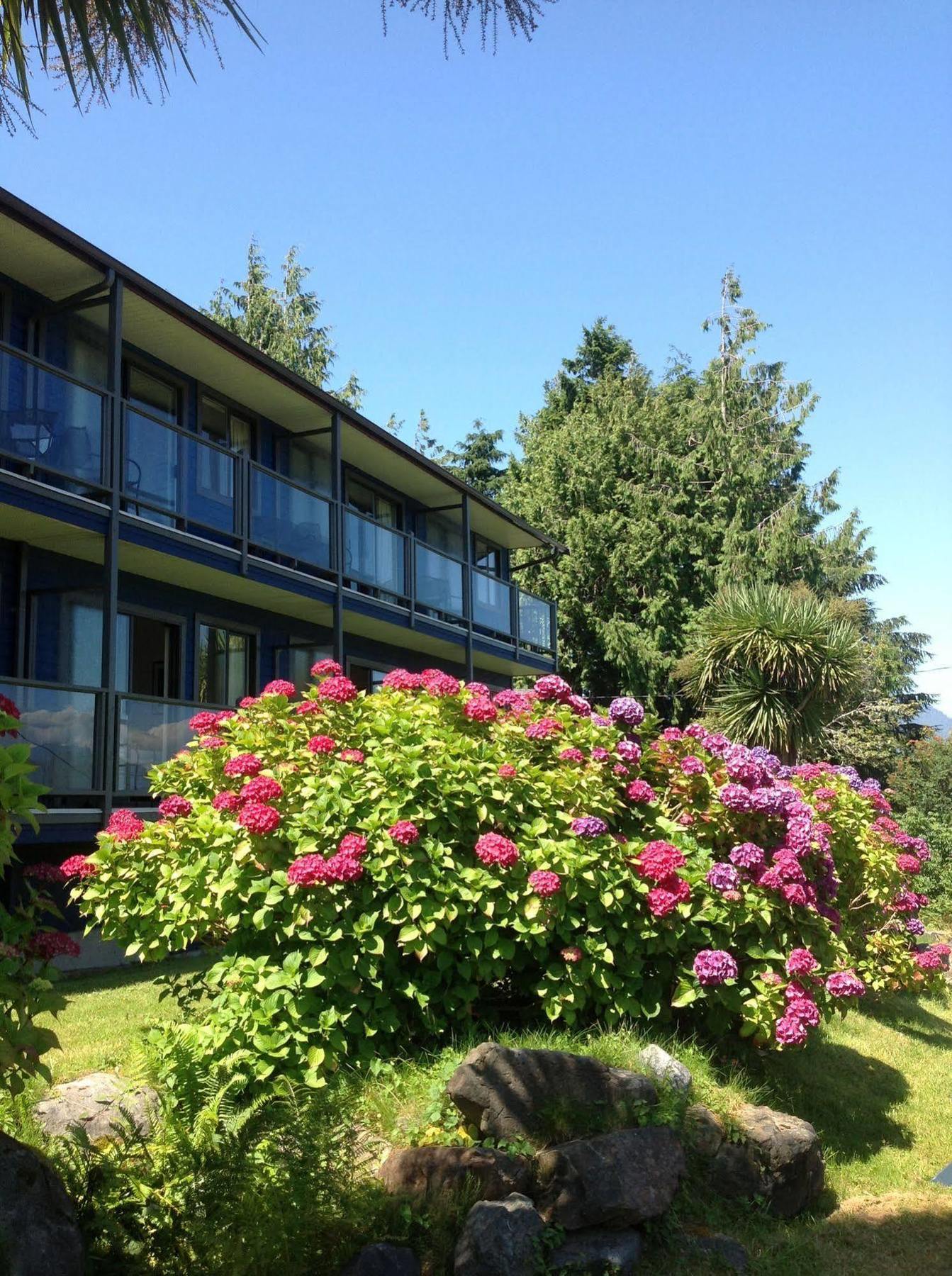 Tofino Motel Harbourview Luaran gambar